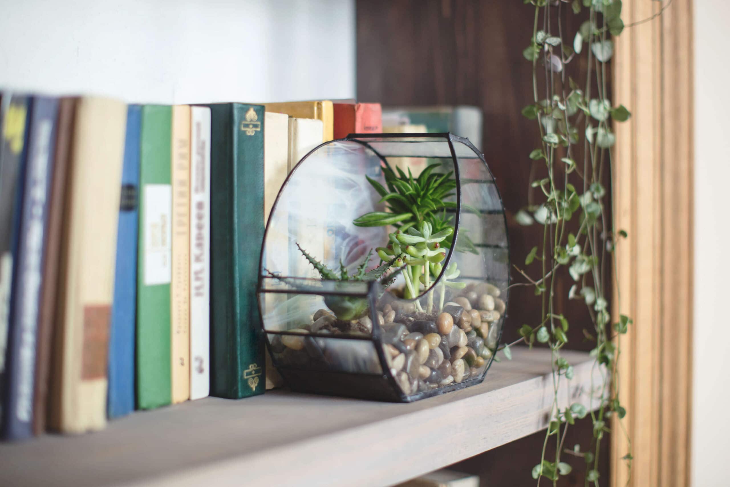 Técnica Feng Shui em apartamento: Como aplicar?